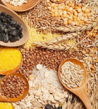 ¿Veneno o alimento?<br/> por Jeraige Reinoso