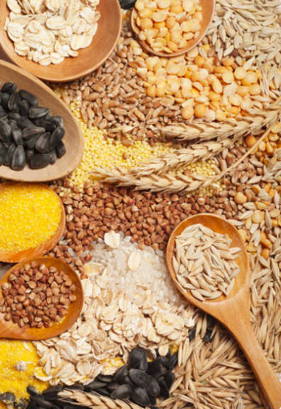 Gluten Atril press
