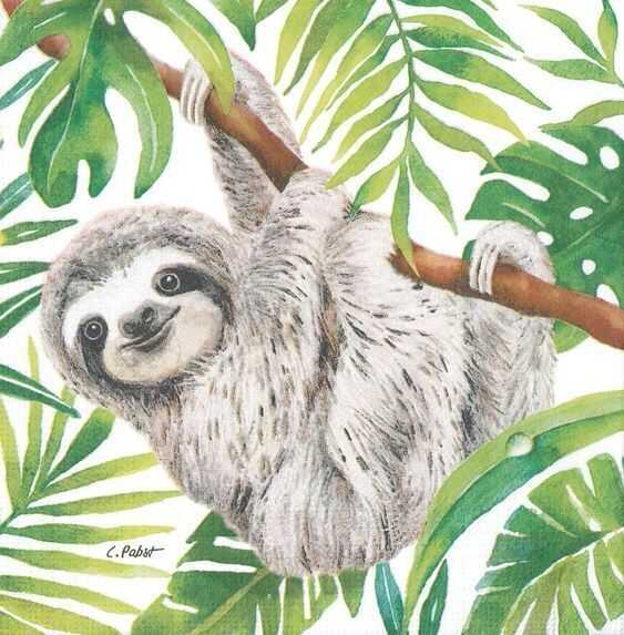 El zoo,<br/> por José Manuel Peláez 1 Bebe de pereza Atril press
