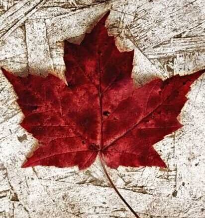 Canadá,<br/> por Leonor Henríquez