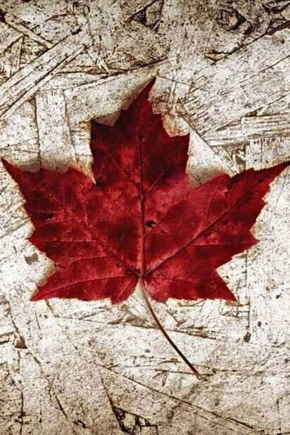 Canada,<br/> by Leonor Henríquez 1 Canada Atril press 1