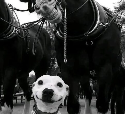 Sonrisa de fotografía, por Áxel Capriles M.   