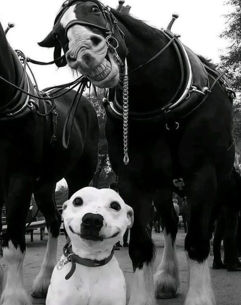 Sonrisa de fotografía, por Áxel Capriles M.   