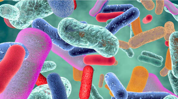 Microbiota Atril press